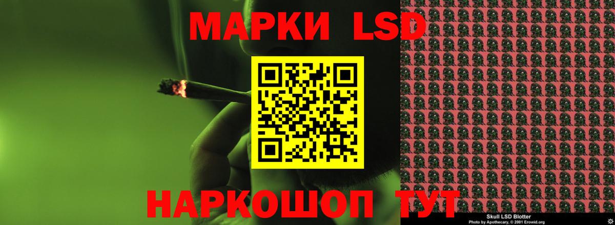 Новоалександровск  ЛСД экстази ecstasy  Вход с VPN  ЛСД экстази ecstasy 