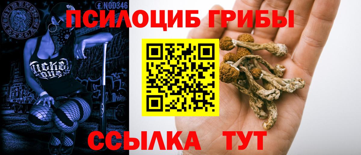 Псилоцибиновые грибы ЛСД  Вход с VPN  Новоалександровск 